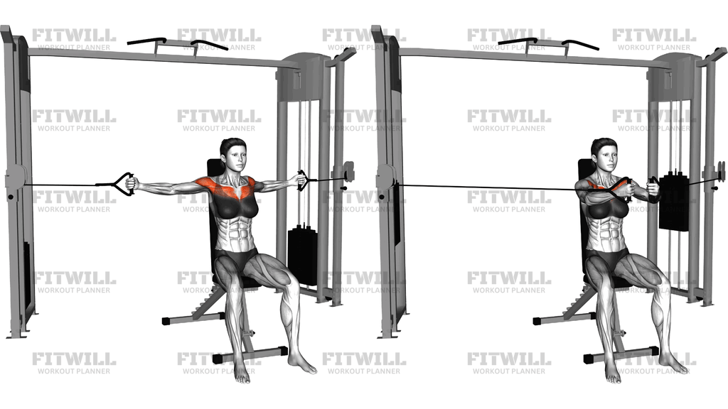 Cable Seated Chest Fly