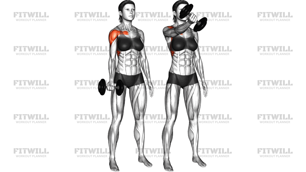 Dumbbell One Arm Low Fly
