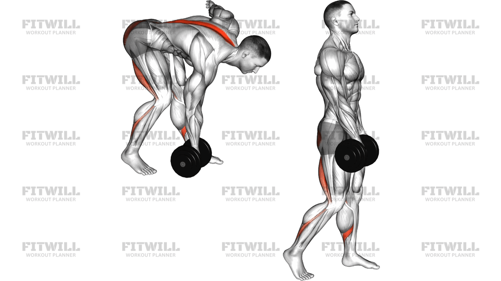 Dumbbell Single Leg Romanian Deadlift