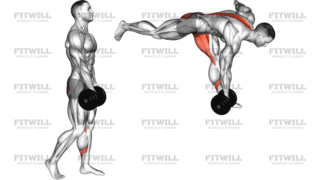 Dumbbell Single Leg Romanian Deadlift Leg Raise