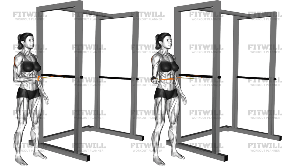 Resistance Band Standing Shoulder Extrernal Rotati