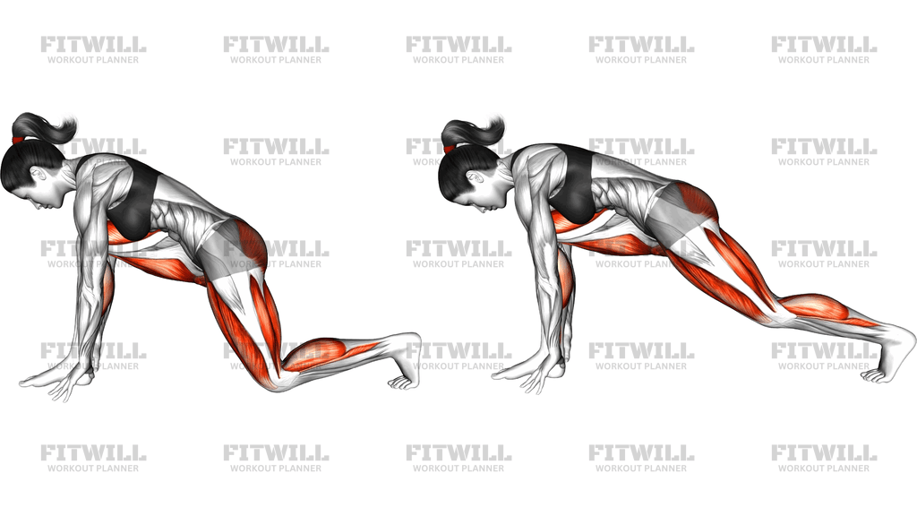 Sprinter Lunge Stretch