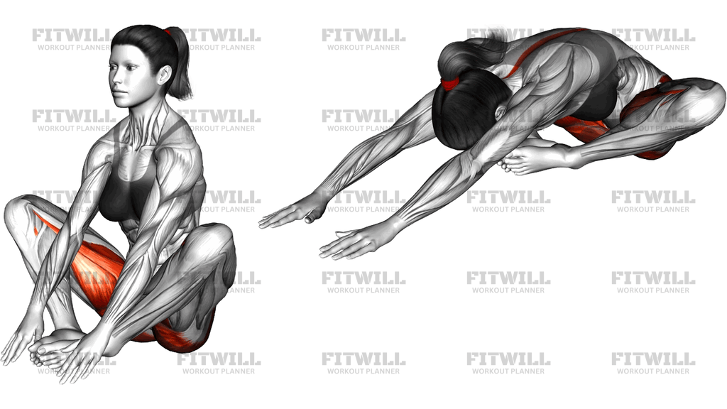 Butterfly Yoga Pose Baddha Konasana Variation