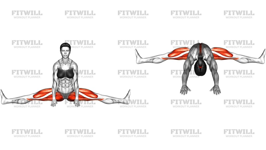 Split Forward Fold Yoga Pose