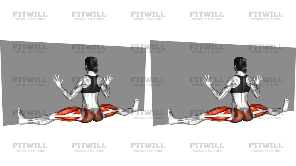 Wall Split