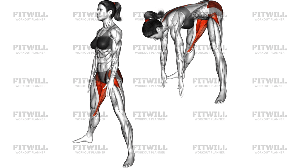 Standing Wide Legged Hamstring Stretch