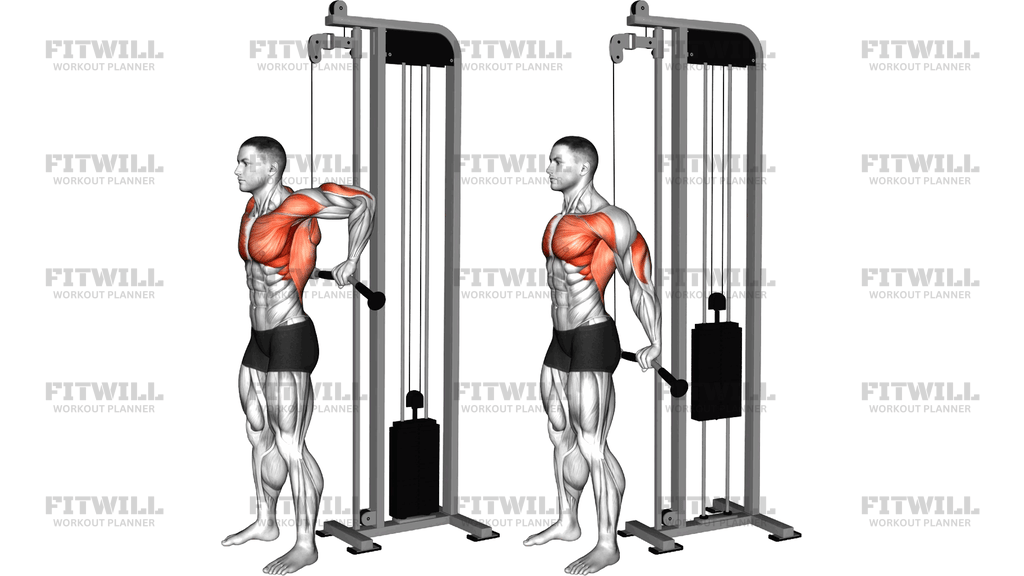 Cable Behind The Back Tricep Dip