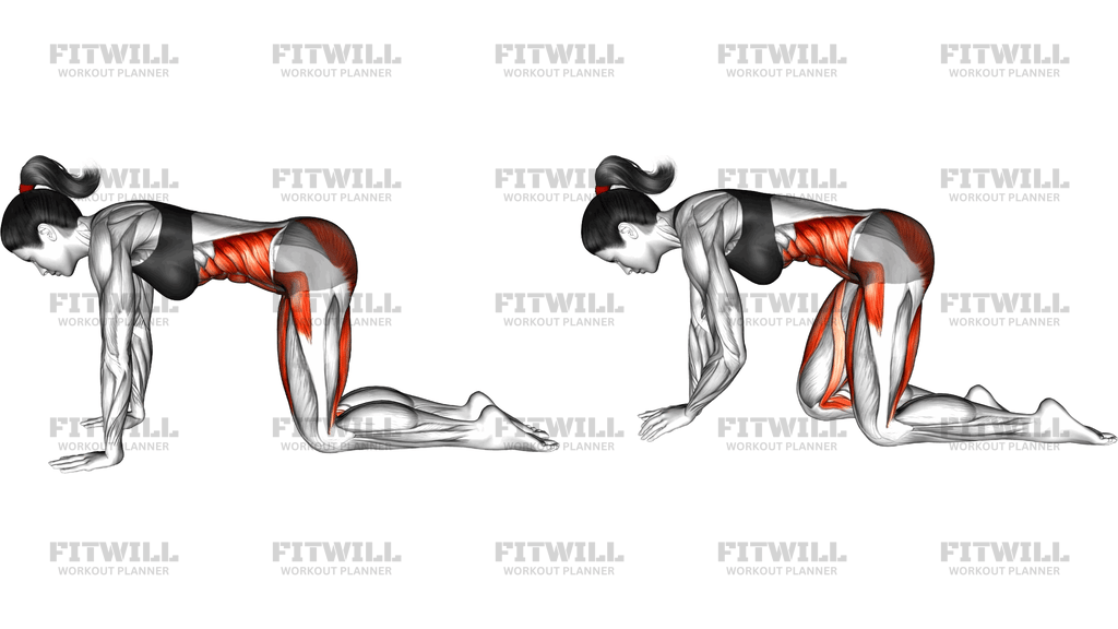 Bird Dog Crunch Yoga Pose
