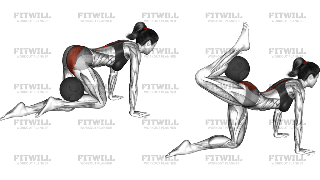 Medicine Ball Kneeling Glute Press