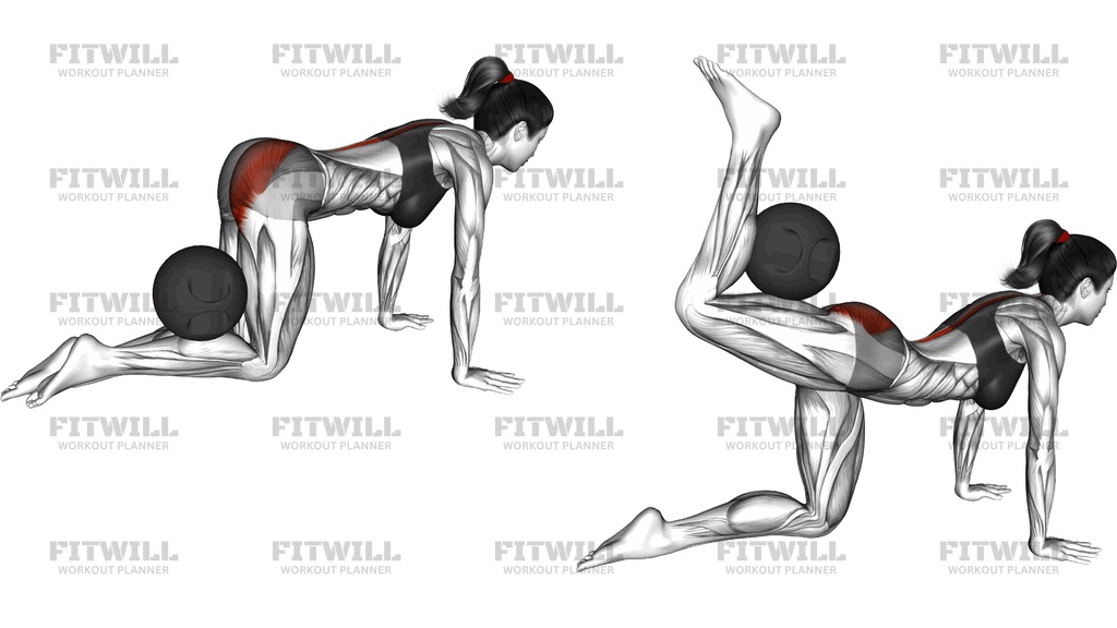 Medicine Ball Kneeling Donkey Kick