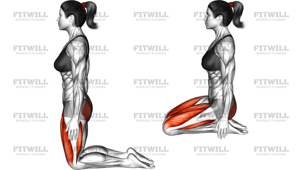 Hero Yoga Pose Virasana
