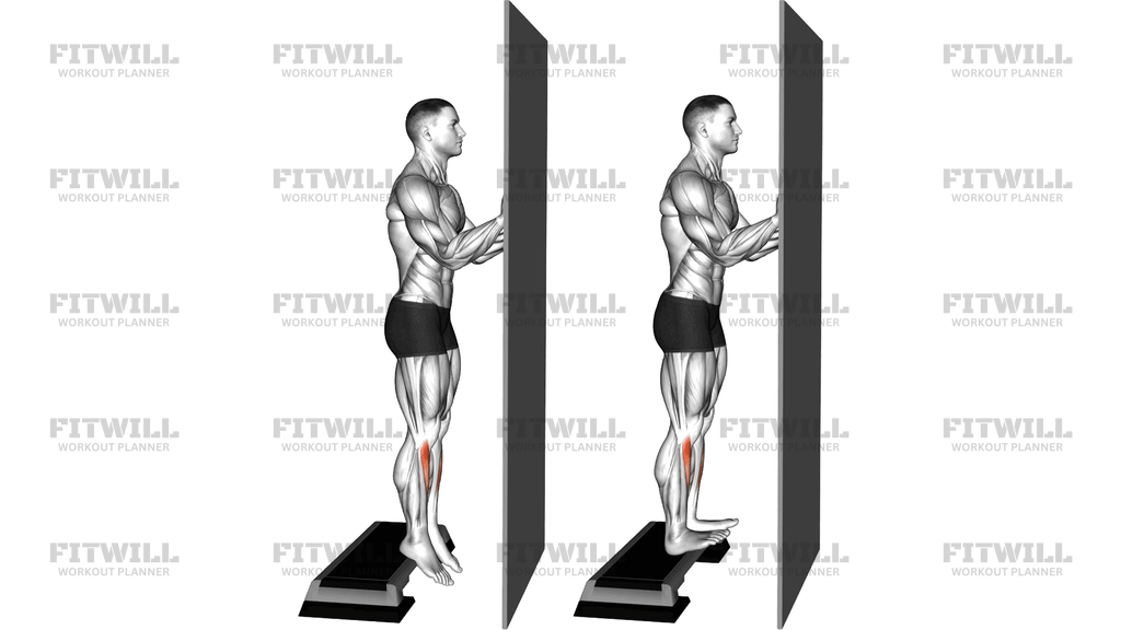 Standing Tibialis Raise Wall Supported