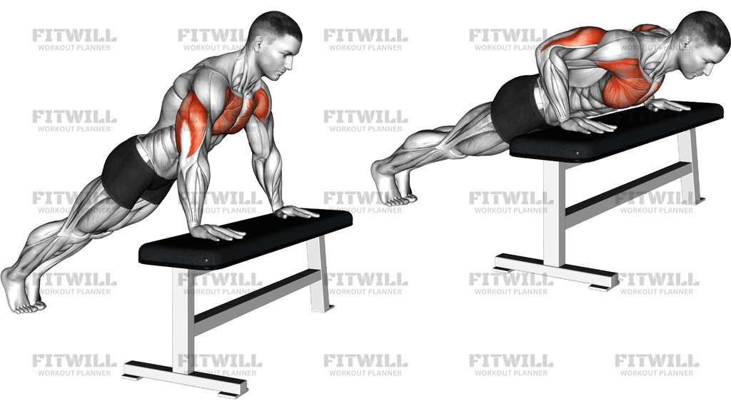 Incline Push Up With Bench