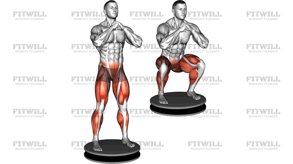 Balance Disk Squat