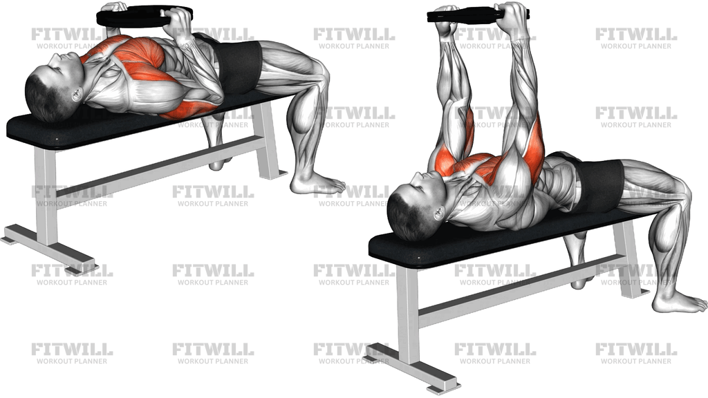 Weighted Plate Bench Press