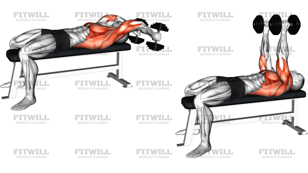 Dumbbell Lying Straight Arms Pullover