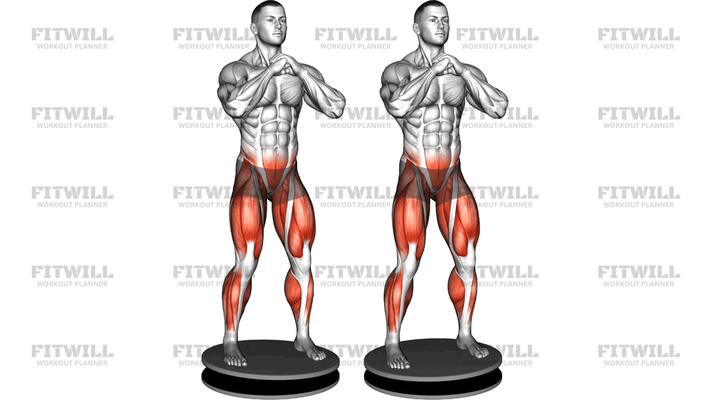 Balance Disk Standing