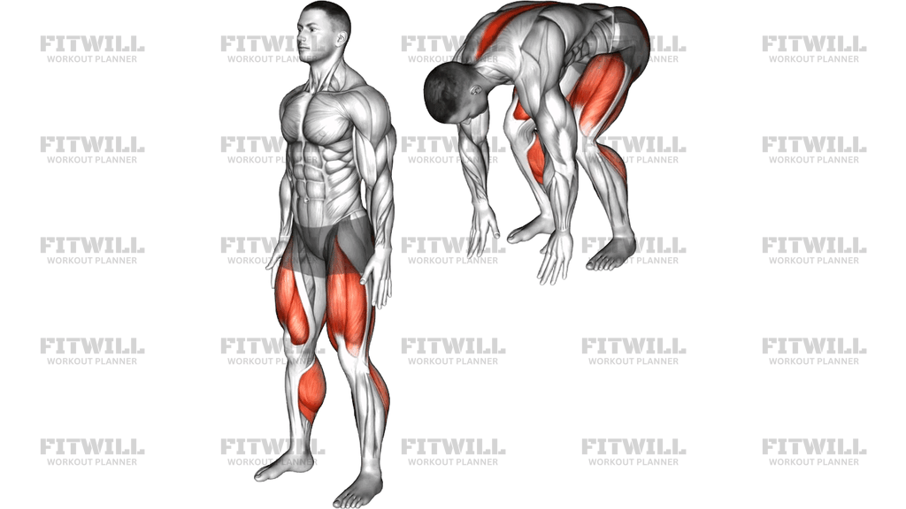 Forward Fold Squat Mobilization