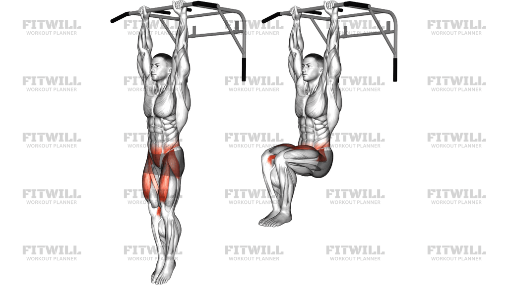 Hanging Knee Raise