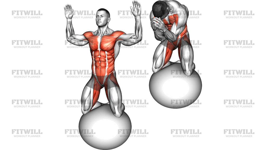 Kneeling Body Mobilization On Exercise Ball