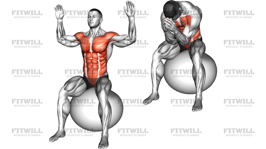 Sitting Body Mobilization On Exercise Ball