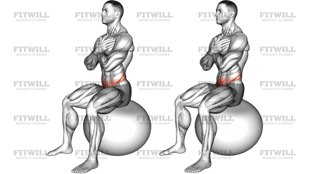 Sitting Hip Mobilization On Exercise Ball