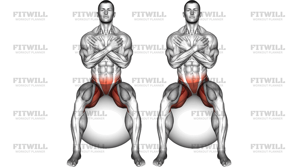 Sitting Hip Mobilization Circle On Exercise Ball