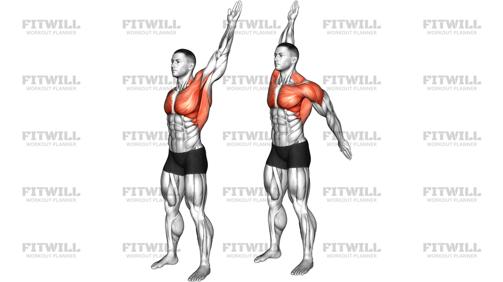 Standing Alternating Arms Swing
