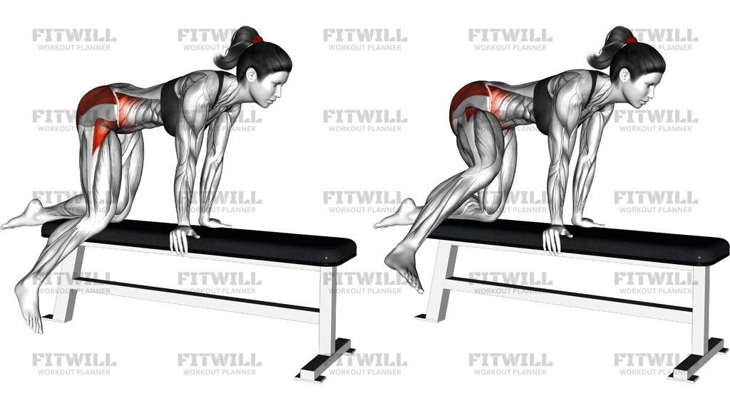 Kneeling Outward Circle Leg On Bench