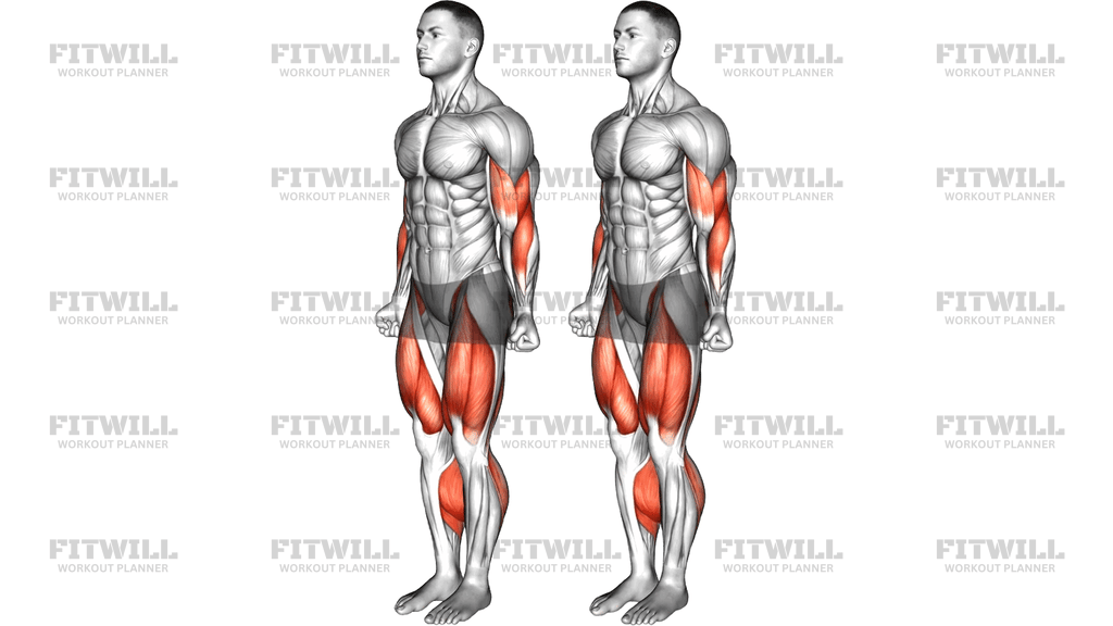 Heel Tap Arm Curl