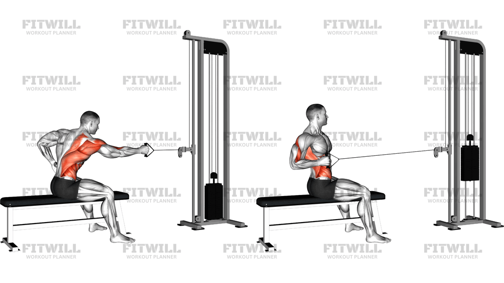 Cable Sitting Banch Single Arm Twisting Row
