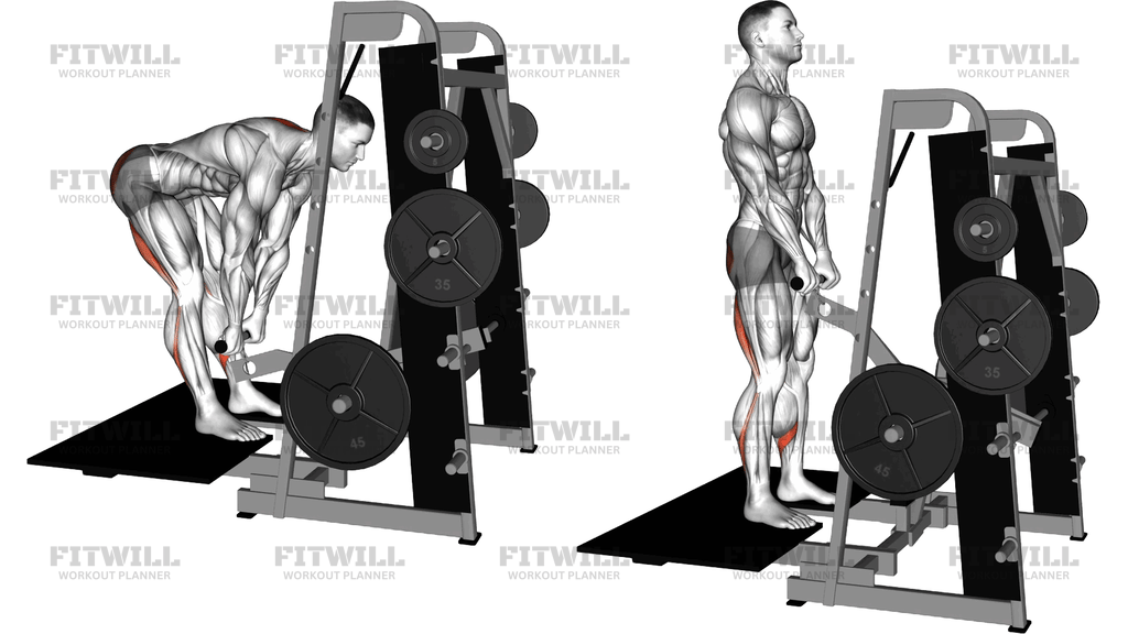 Lever Belt Romanian Deadlift (Straight Bar)
