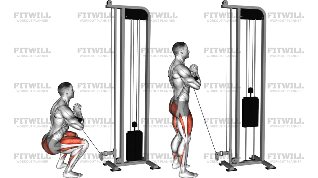 Cable Zercher Squat