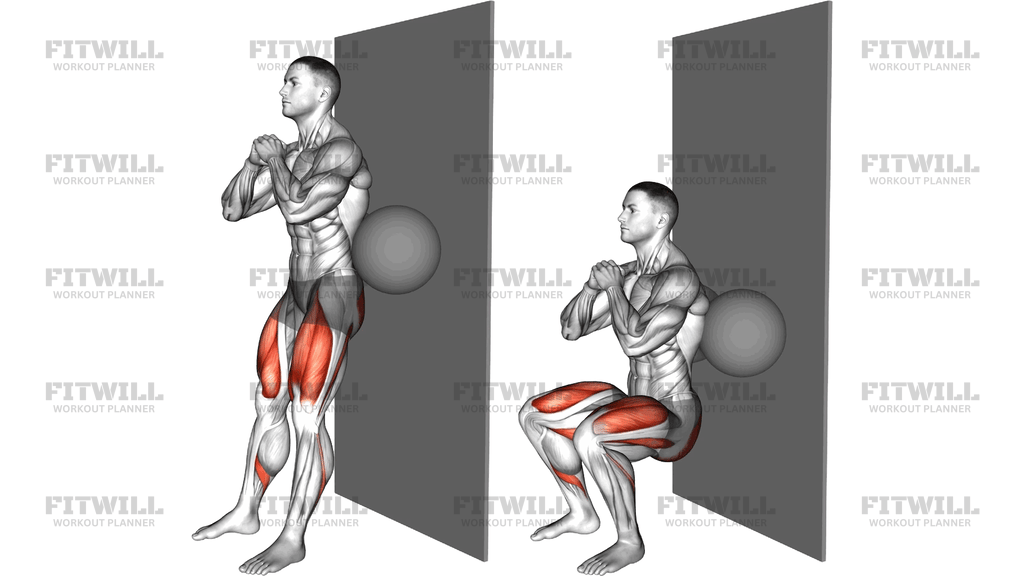 Squat With Ball Behind Back