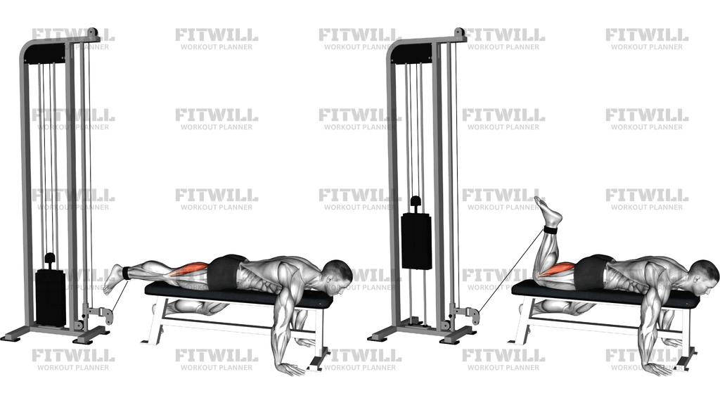 Cable Lying Bench Single Leg Curl