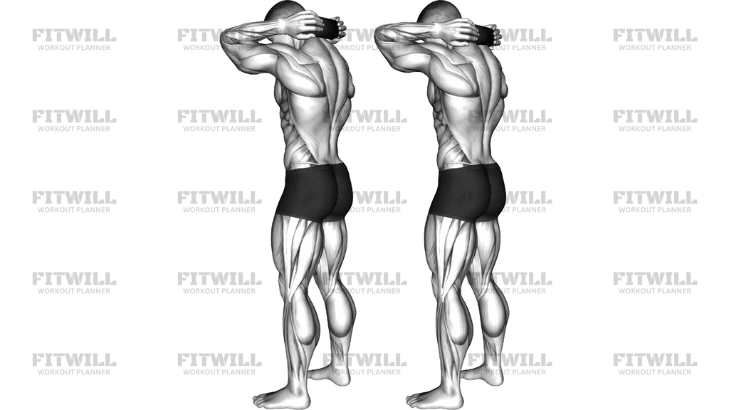 Roll Standing Neck