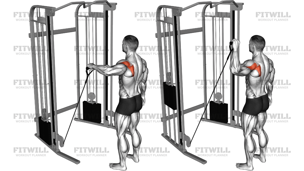 Cable Low Shoulder 90 Degrees External Rotation