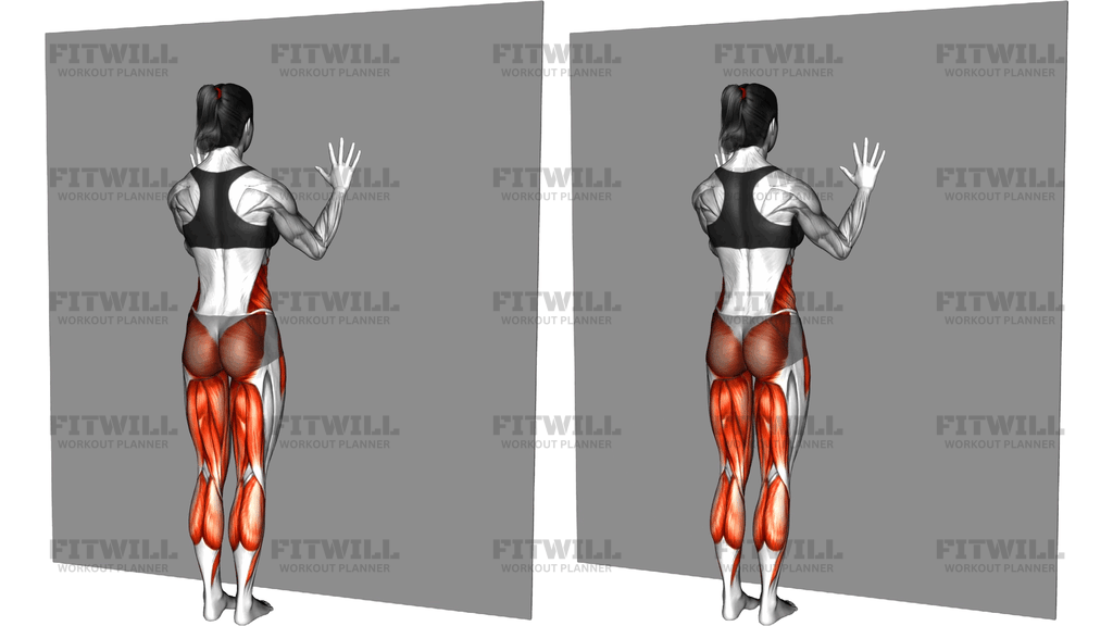 Side Hip Raise Wall Supported