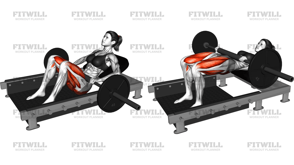 Barbell Hip Thrust Inside Rack