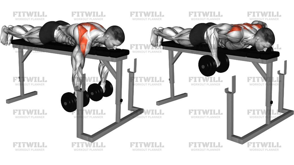 Dumbbell Lying Delt Row On Rack