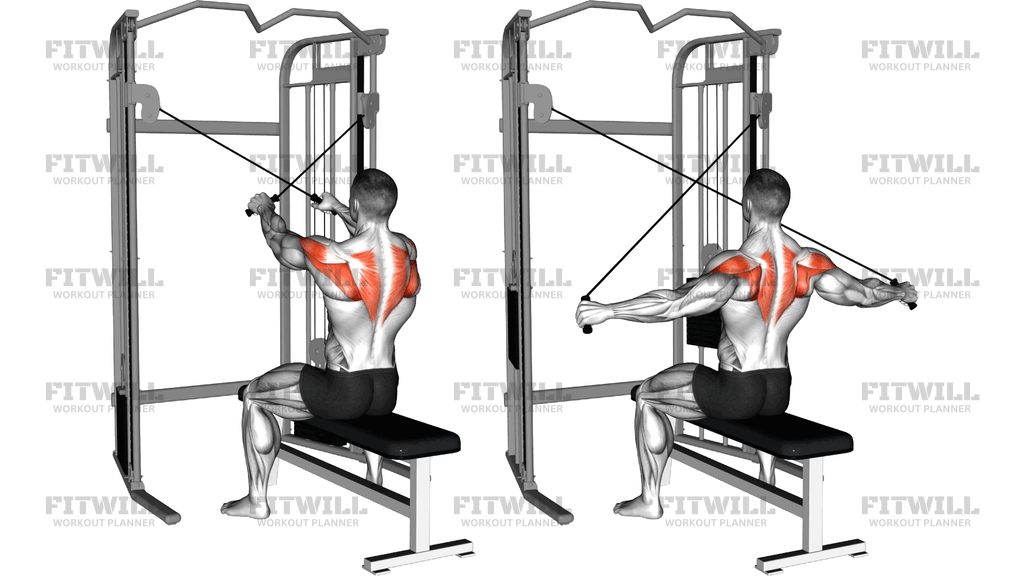 Cable Seated Reverse Fly