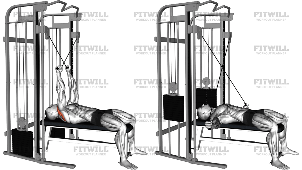 Cable Lying Reverse Fly