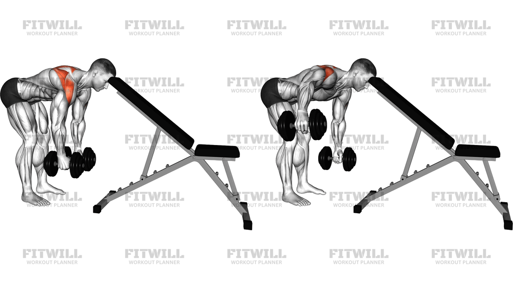 Dumbbell Alternating Rear Lateral Raise (Support H)
