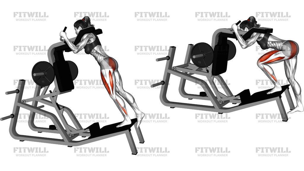 Lever Single Leg Squat On Hack Squat Machine