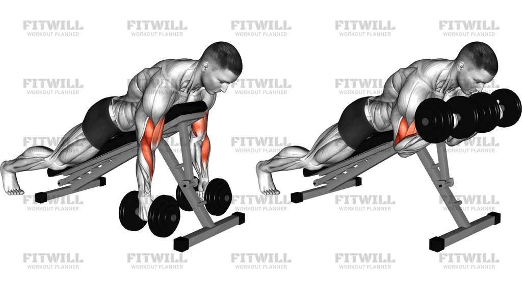 Dumbbell Spider Curl