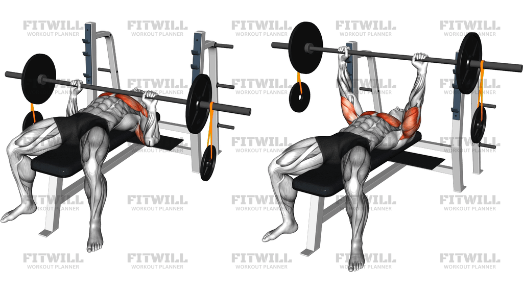 Barbell Banded Weighted Plate Bench Press