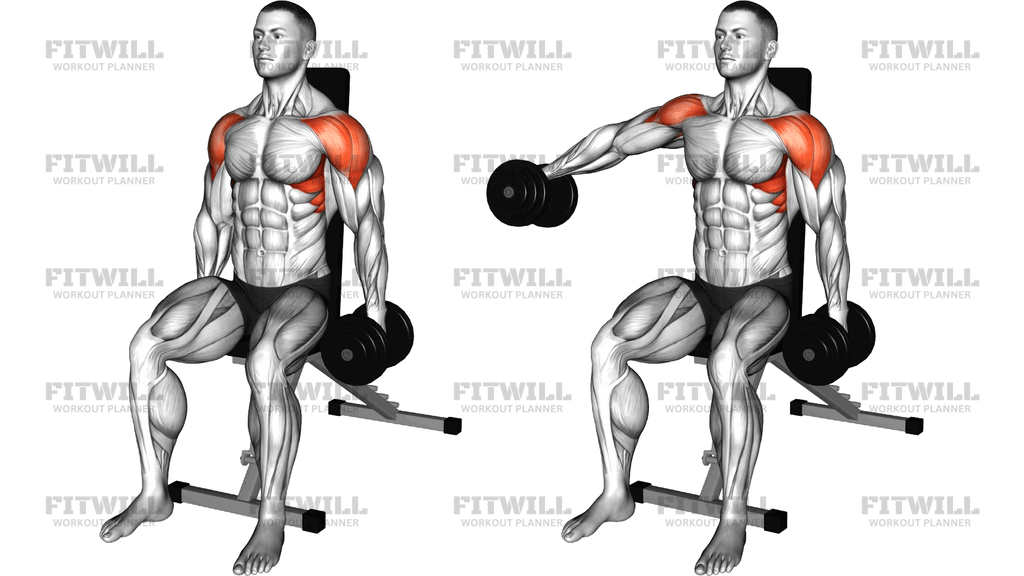 Dumbbell Seated Alternating Lateral Raise
