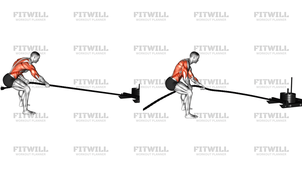 Power Sled Pull