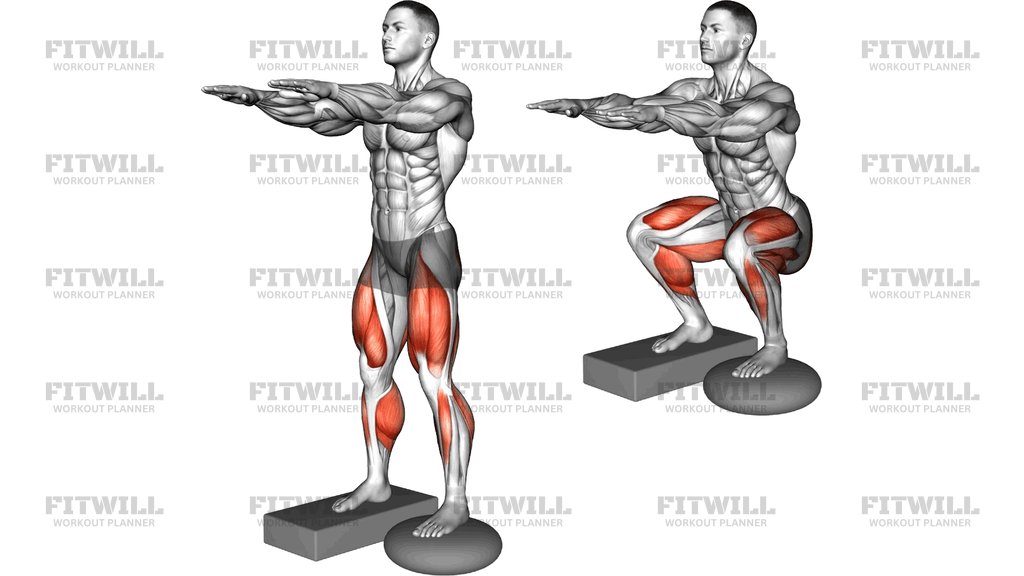 Bodyweight Balance Squat With Pillow