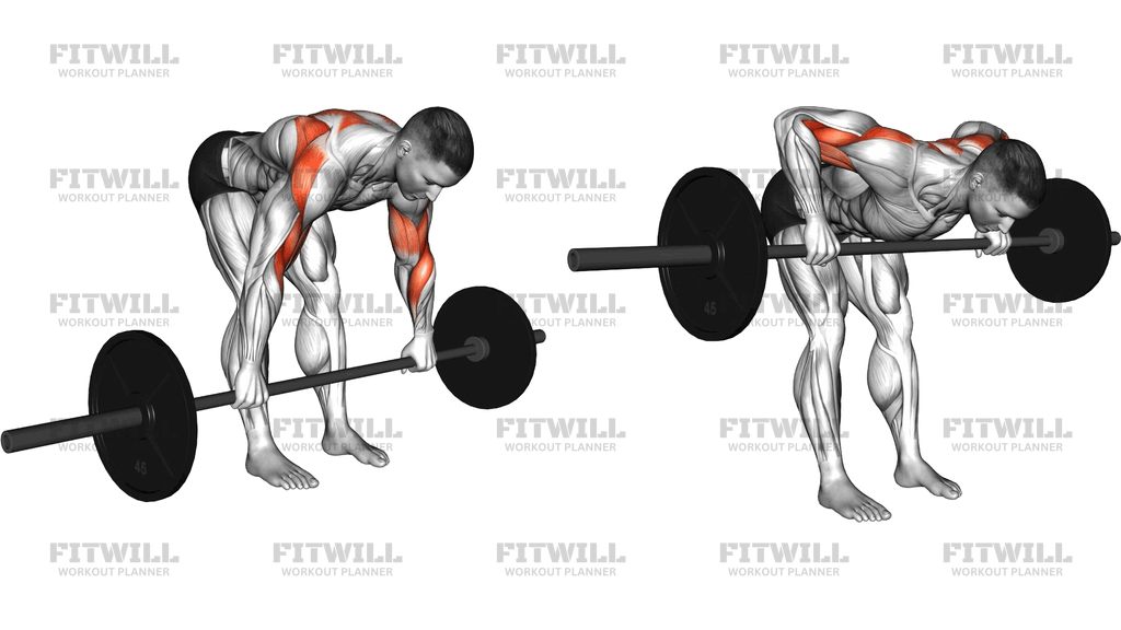 Barbell Bent Over Rear Delt Row